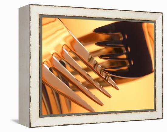 Close-up of Forks-null-Framed Premier Image Canvas