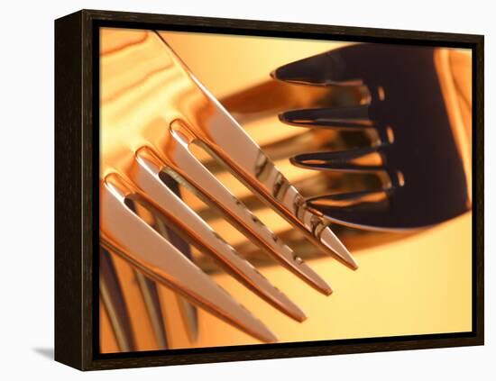 Close-up of Forks-null-Framed Premier Image Canvas