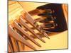 Close-up of Forks-null-Mounted Photographic Print