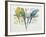 Close-Up of Four Parrots Perching on a Branch (Melopsittacus Undulatus)-null-Framed Giclee Print