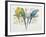 Close-Up of Four Parrots Perching on a Branch (Melopsittacus Undulatus)-null-Framed Giclee Print