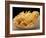 Close Up of Fried Fish & Chips-Tony Craddock-Framed Photographic Print