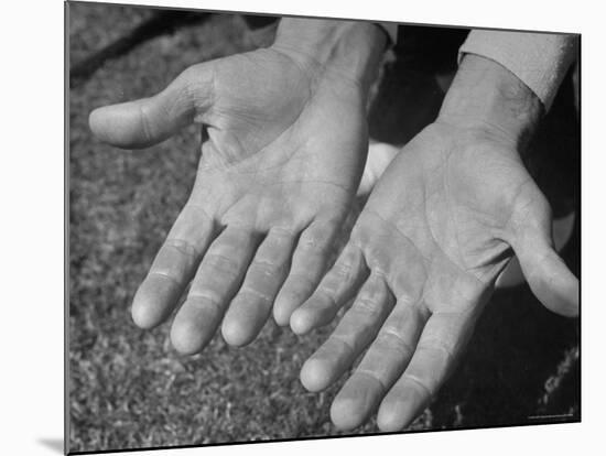 Close Up of Golfer Ben Hogan's Hands-Martha Holmes-Mounted Premium Photographic Print