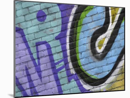 Close-up of Graffiti-null-Mounted Photographic Print