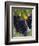 Close-up of Grapes on Vine-John Luke-Framed Photographic Print