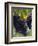 Close-up of Grapes on Vine-John Luke-Framed Photographic Print