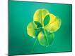 Premium Photographic Print