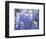 Close Up of Group of Texas Bluebonnets, Texas, USA-Julie Eggers-Framed Photographic Print