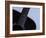 Close-up of Guitar-null-Framed Photographic Print