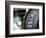 Close-Up of Gym Weightlifting Equipment-Matt Freedman-Framed Photographic Print