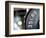 Close-Up of Gym Weightlifting Equipment-Matt Freedman-Framed Photographic Print