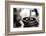 Close-Up of Gym Weightlifting Equipment-Matt Freedman-Framed Photographic Print