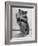 Close Up of Hamster Standing on Its Hind Legs at Chicago University-Wallace Kirkland-Framed Photographic Print