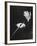 Close Up of Hands of Young Conductor Lorin Maazel-Nina Leen-Framed Premium Photographic Print