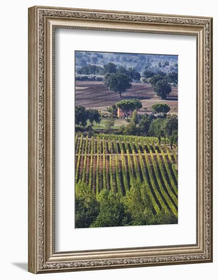 Close Up of Harvest Time Vineyards-Terry Eggers-Framed Photographic Print