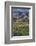 Close Up of Harvest Time Vineyards-Terry Eggers-Framed Photographic Print