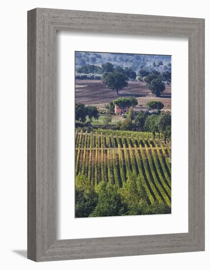 Close Up of Harvest Time Vineyards-Terry Eggers-Framed Photographic Print