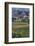 Close Up of Harvest Time Vineyards-Terry Eggers-Framed Photographic Print