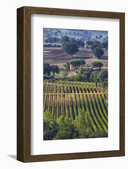 Close Up of Harvest Time Vineyards-Terry Eggers-Framed Photographic Print