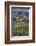 Close Up of Harvest Time Vineyards-Terry Eggers-Framed Photographic Print