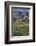 Close Up of Harvest Time Vineyards-Terry Eggers-Framed Photographic Print