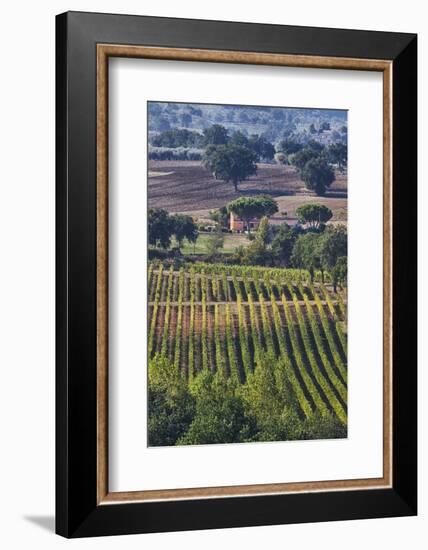 Close Up of Harvest Time Vineyards-Terry Eggers-Framed Photographic Print