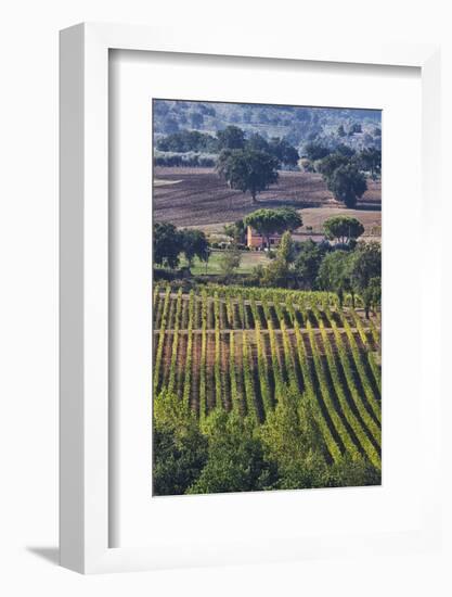 Close Up of Harvest Time Vineyards-Terry Eggers-Framed Photographic Print