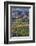 Close Up of Harvest Time Vineyards-Terry Eggers-Framed Photographic Print