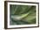 Close Up Of Hawaiian Flora-Karine Aigner-Framed Photographic Print