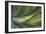 Close Up Of Hawaiian Flora-Karine Aigner-Framed Photographic Print