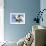 Close Up of Head Normande Tri-Coloured Cow-null-Framed Photographic Print displayed on a wall