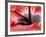 Close-Up of Hibiscus Flower-Adam Jones-Framed Photographic Print