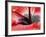 Close-Up of Hibiscus Flower-Adam Jones-Framed Photographic Print