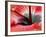 Close-Up of Hibiscus Flower-Adam Jones-Framed Photographic Print