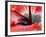 Close-Up of Hibiscus Flower-Adam Jones-Framed Photographic Print