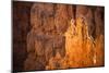 Close Up Of Hoodoos In Bryce Canyon-Lindsay Daniels-Mounted Photographic Print