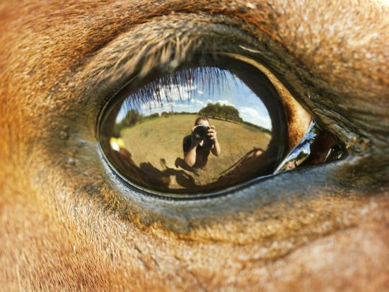 Close Up Of Horse Eye Photographic Print By April Bauknight Art Com