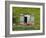Close-up of House at St. Servan-Sur-Mer, Near St. Malo, Brittany, France, Europe-Philip Craven-Framed Photographic Print