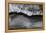 Close-up of ice formation above running water, Wiley Brook, Maine, USA-Panoramic Images-Framed Premier Image Canvas