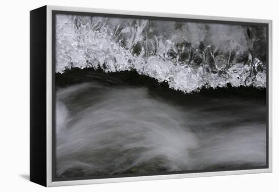 Close-up of ice formation above running water, Wiley Brook, Maine, USA-Panoramic Images-Framed Premier Image Canvas