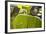 Close Up of Italian Vespa, Italy-Peter Adams-Framed Photographic Print