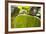 Close Up of Italian Vespa, Italy-Peter Adams-Framed Photographic Print