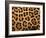 Close-Up of Jaguar Cat Coat,-Staffan Widstrand-Framed Photographic Print