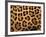 Close-Up of Jaguar Cat Coat,-Staffan Widstrand-Framed Photographic Print