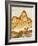 Close-Up of Jasper Stone, Rocky Butte, Oregon, USA-Dennis Kirkland-Framed Photographic Print