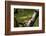 Close-up of leaf, Japanese garden, Portland, Oregon, USA-Panoramic Images-Framed Photographic Print