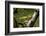 Close-up of leaf, Japanese garden, Portland, Oregon, USA-Panoramic Images-Framed Premium Photographic Print