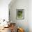 Close-Up of Lemon Tree, Denia, Spain, Europe-Jan Baldwin-Framed Photographic Print displayed on a wall