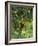 Close-Up of Lemon Tree, Denia, Spain, Europe-Jan Baldwin-Framed Photographic Print