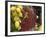 Close-up of Lemons and Chili Peppers in a Market Stall, Sorrento, Naples, Campania, Italy-null-Framed Photographic Print